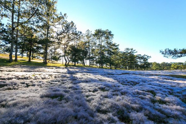 Da Lat 02