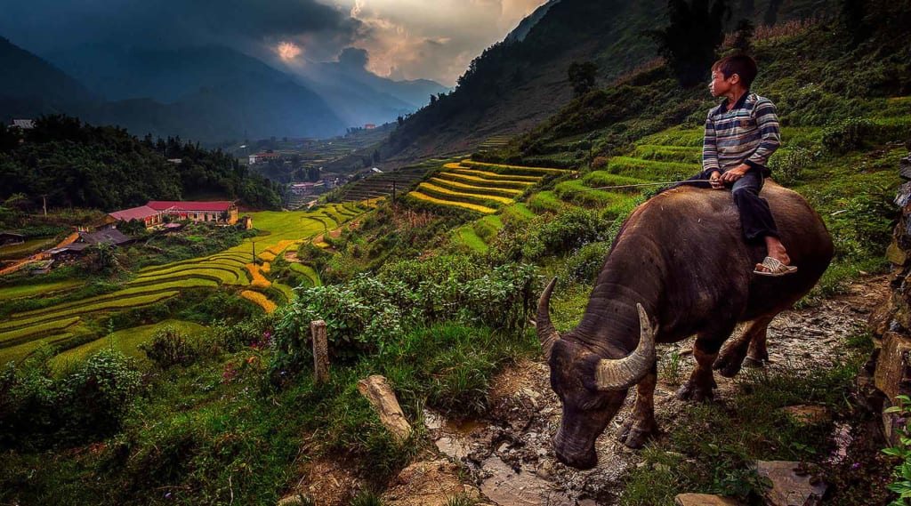 Tour du lịch Sapa