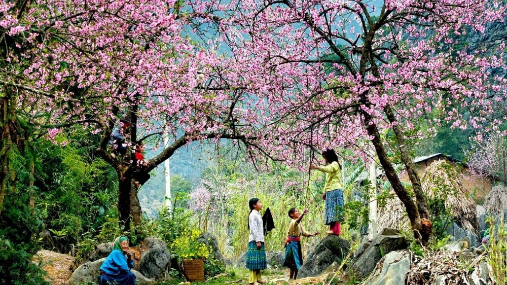 Cảnh đẹp Sapa mùa thu - sắc vàng nhuộm kín cả khung trời