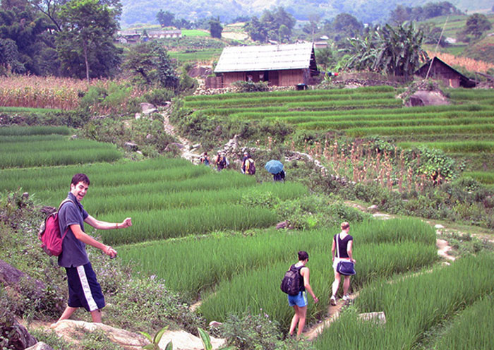 Du lịch đi bộ khám phá Sapa