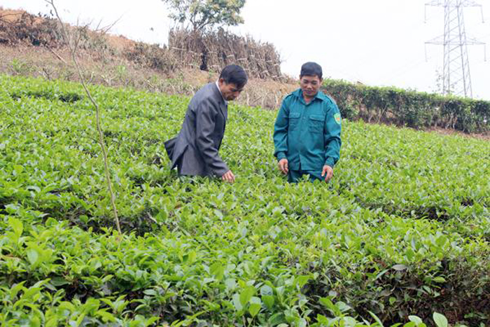 image015-1497947008 image015-1497947008