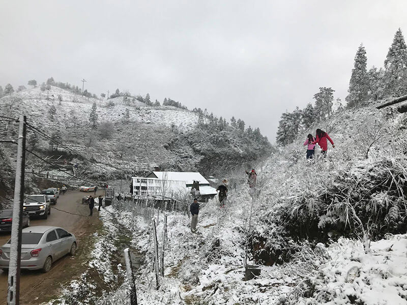 săn tuyết ở sapa