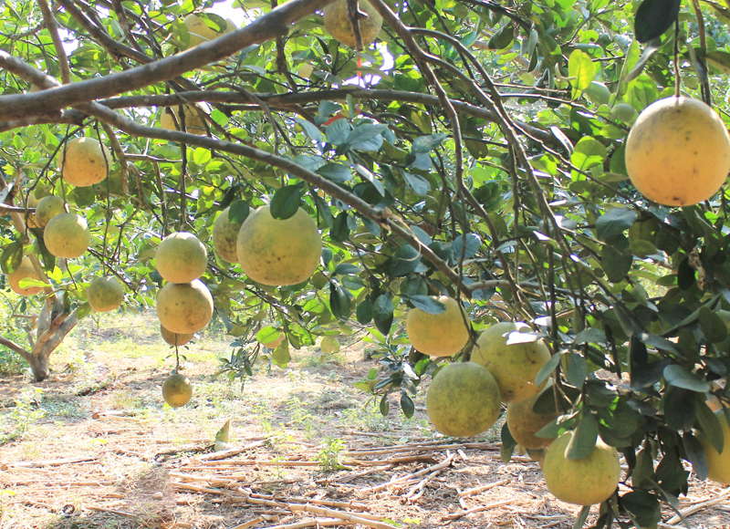 picture-198-1497944755 picture-198-1497944755