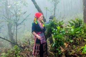 Thuốc Ngâm Chân Của Người Dao Đỏ - Món Quà Tuyệt Vời Dành Cho Sức Khỏe