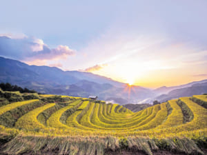 du lịch Mù Cang Chải